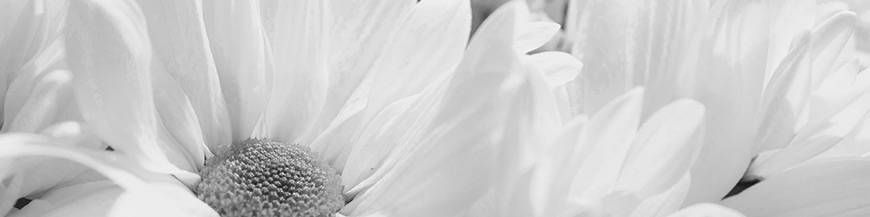 Czystość i higiena