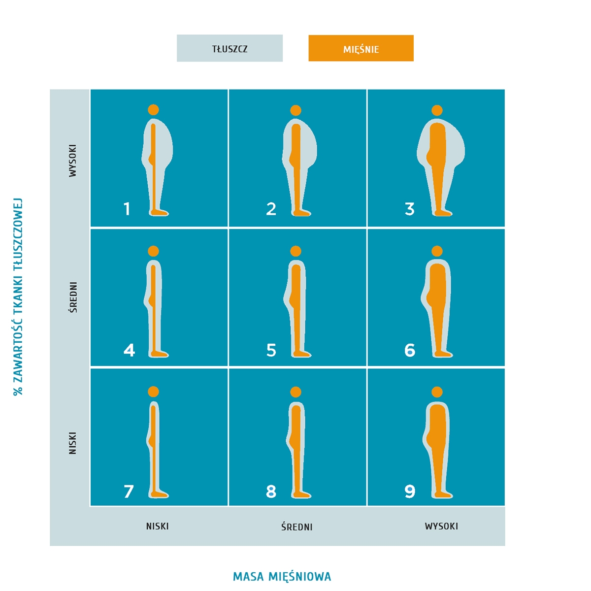 Schemat oceny sylwetki Physique Rating w analizatorze składu ciała Tanita przedstawiający 9 typów budowy ciała w zależności od zawartości tkanki tłuszczowej i masy mięśniowej