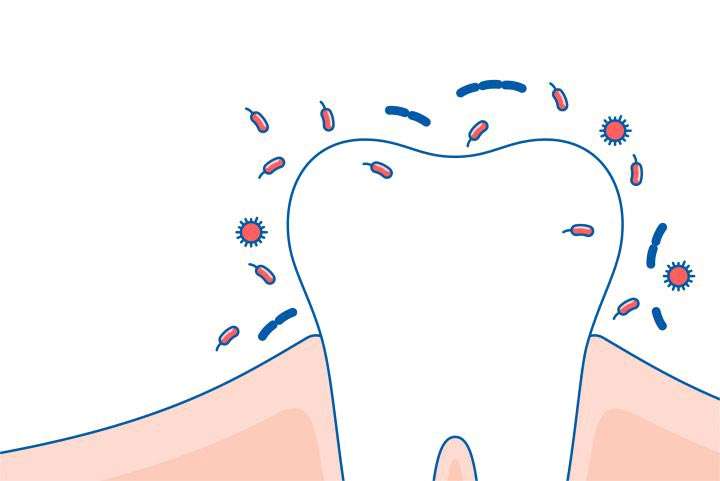 bakterie bytujące w jamie ustnej żywią się cukrem