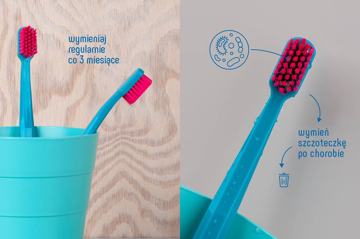 Jak często wymieniać szczoteczkę do zębów – najważniejsze zasady
