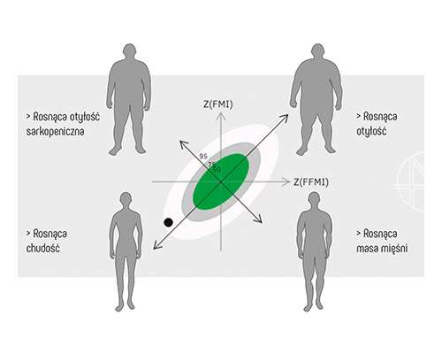 Ocena sylwetki, zależność między tkanka tłuszczową, a beztłuszczową masą ciała