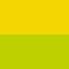 1006 / Zielona szczoteczka / Żółte włosie